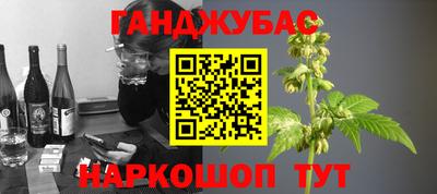 прущие грибы Абакан