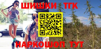 прущие грибы Абакан