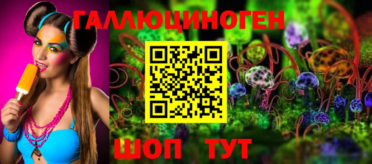 Галлюциногенные грибы Psilocybine cubensis Славянск-на-Кубани