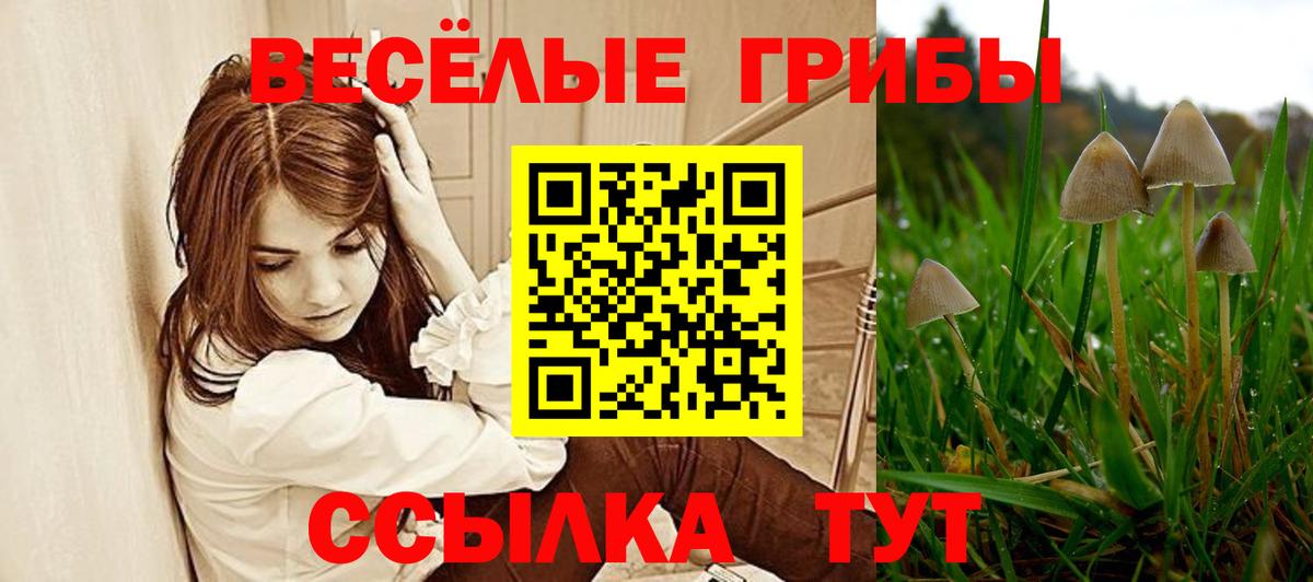 ГАШ  Меф  Вход с VPN  MDMA  Кокаин  Меф   МЕТАМФЕТАМИН  LSD-25  Славянск-на-Кубани  Конопля 