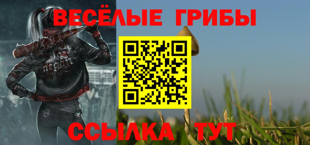 Галлюциногенные грибы MAGIC MUSHROOMS  Славянск-на-Кубани  Галлюциногенные грибы мухоморы 